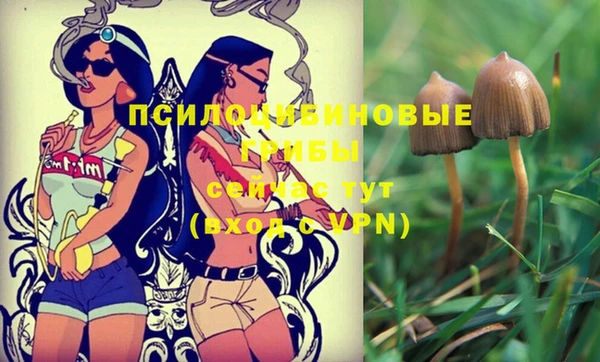 MDMA Premium VHQ Белоозёрский