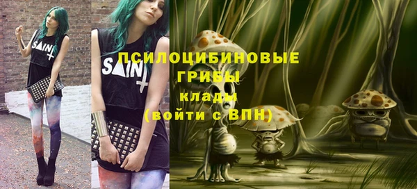 СК Белокуриха