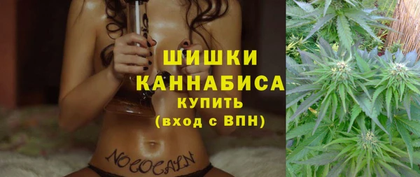 СК Белокуриха