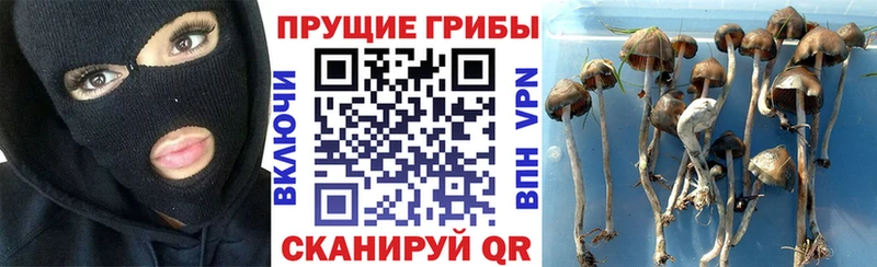 Псилоцибиновые грибы MAGIC MUSHROOMS  Кемерово 