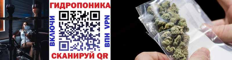 Бошки марихуана LSD WEED  блэк спрут сайт  Кемерово 